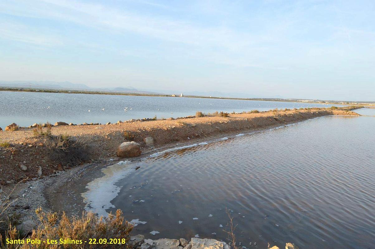33 SANTA POLA LES SALINES (25).JPG